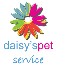 Daisy's Pet Service